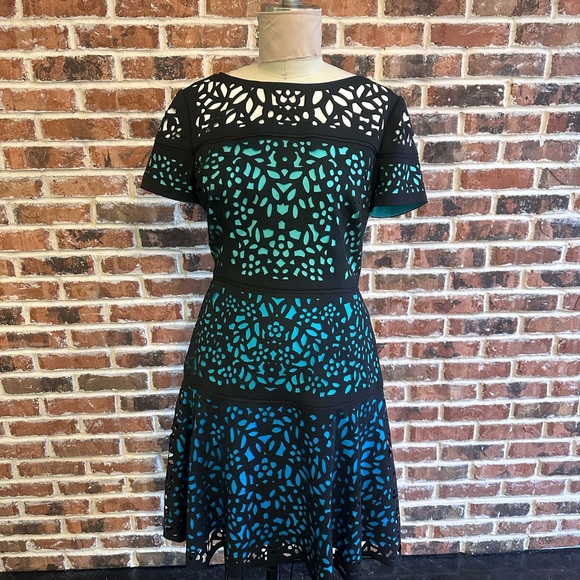 SHANI Ombre Laser-Cut Lace Dress - Picture 1 of 10